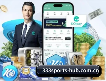333体育 APP 深度功能