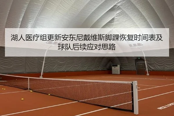 湖人医疗组更新安东尼戴维斯脚踝恢复时间表及球队后续应对思路