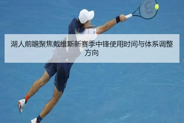 湖人前瞻聚焦戴维斯新赛季中锋使用时间与体系调整方向